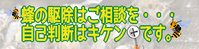 蜂の巣駆除のご案内