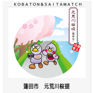 蓮田市　元荒川桜提