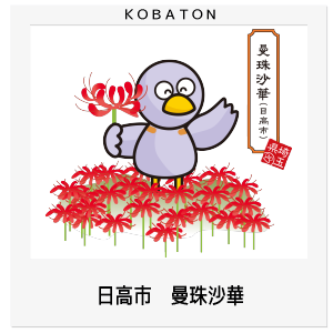 日高市　曼珠沙華