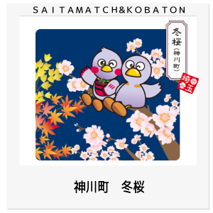 神川町　冬桜