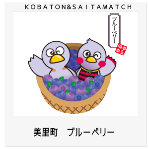 美里町　ブルーベリー