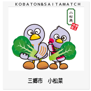 三郷市　小松菜
