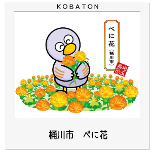 桶川市　べに花