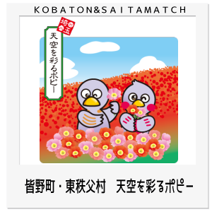 皆野町　東秩父村　天空のポピー