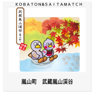 嵐山町　武蔵嵐山渓谷