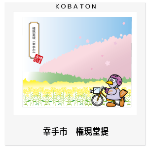 幸手市　権現堂提